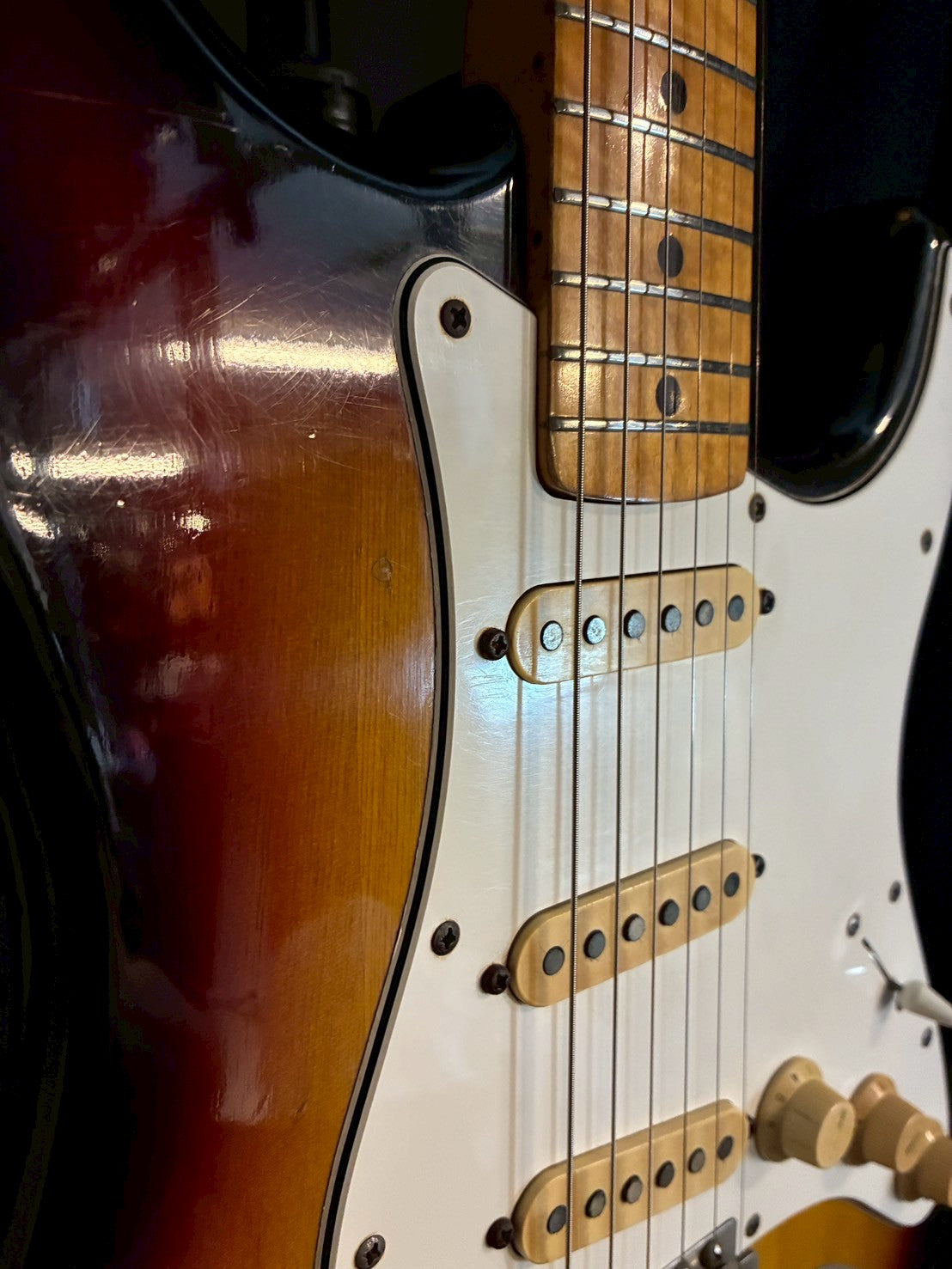 FERNANDES FST-50 【石ロゴ】