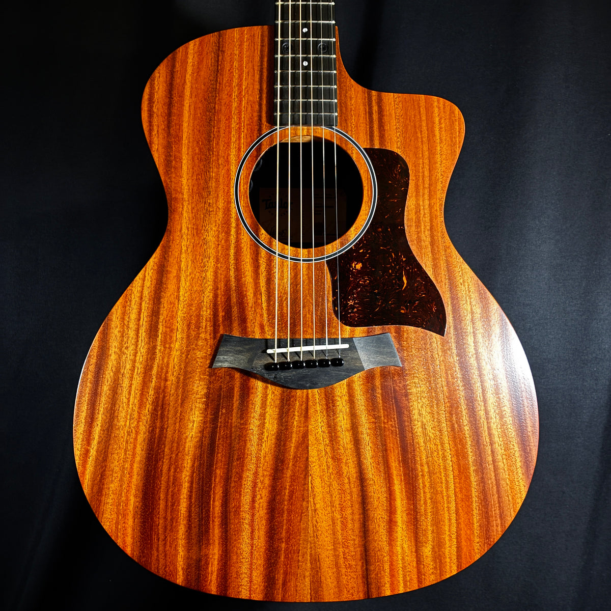 Taylor 24ce / 2.13kg【下取りで最大15%OFF】【甲府店】