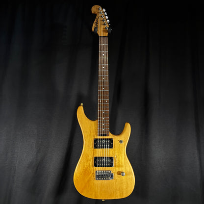 Washburn N1 / 2.95kg【下取りで最大15%OFF】【甲府店】