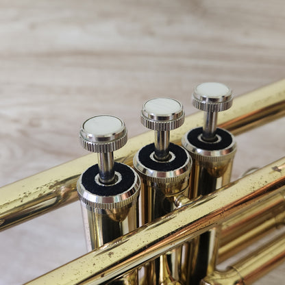 Jupiter　STR-300