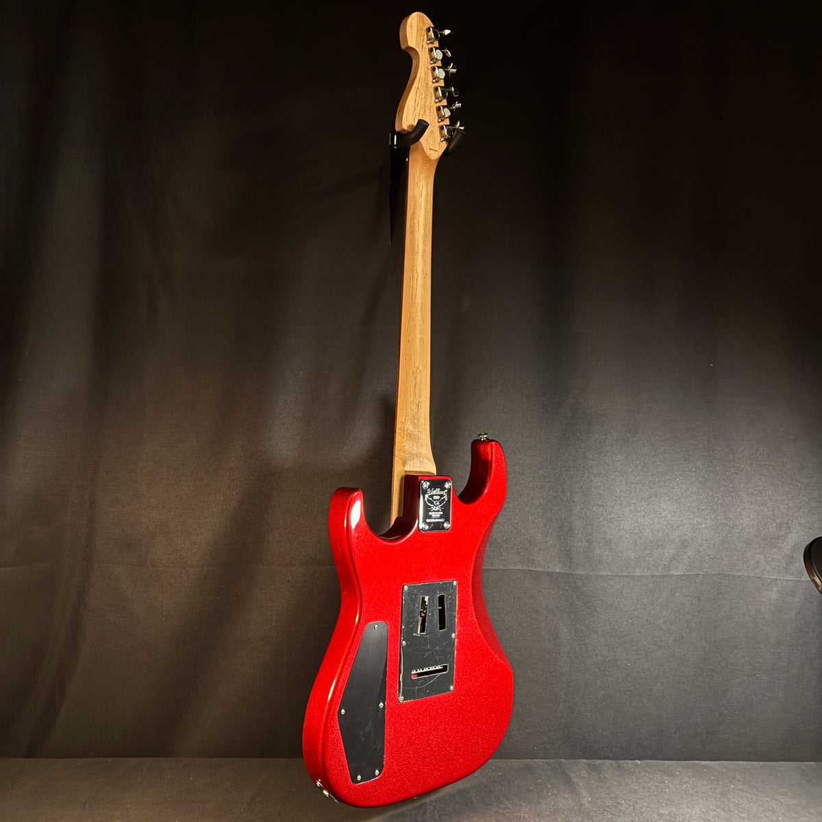 Washburn X-10 Pro / 3.59kg【下取りで最大15%OFF】【甲府店】