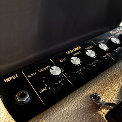 Roland Blues Cube Hot / Guitar Combo Amp 【甲府店】
