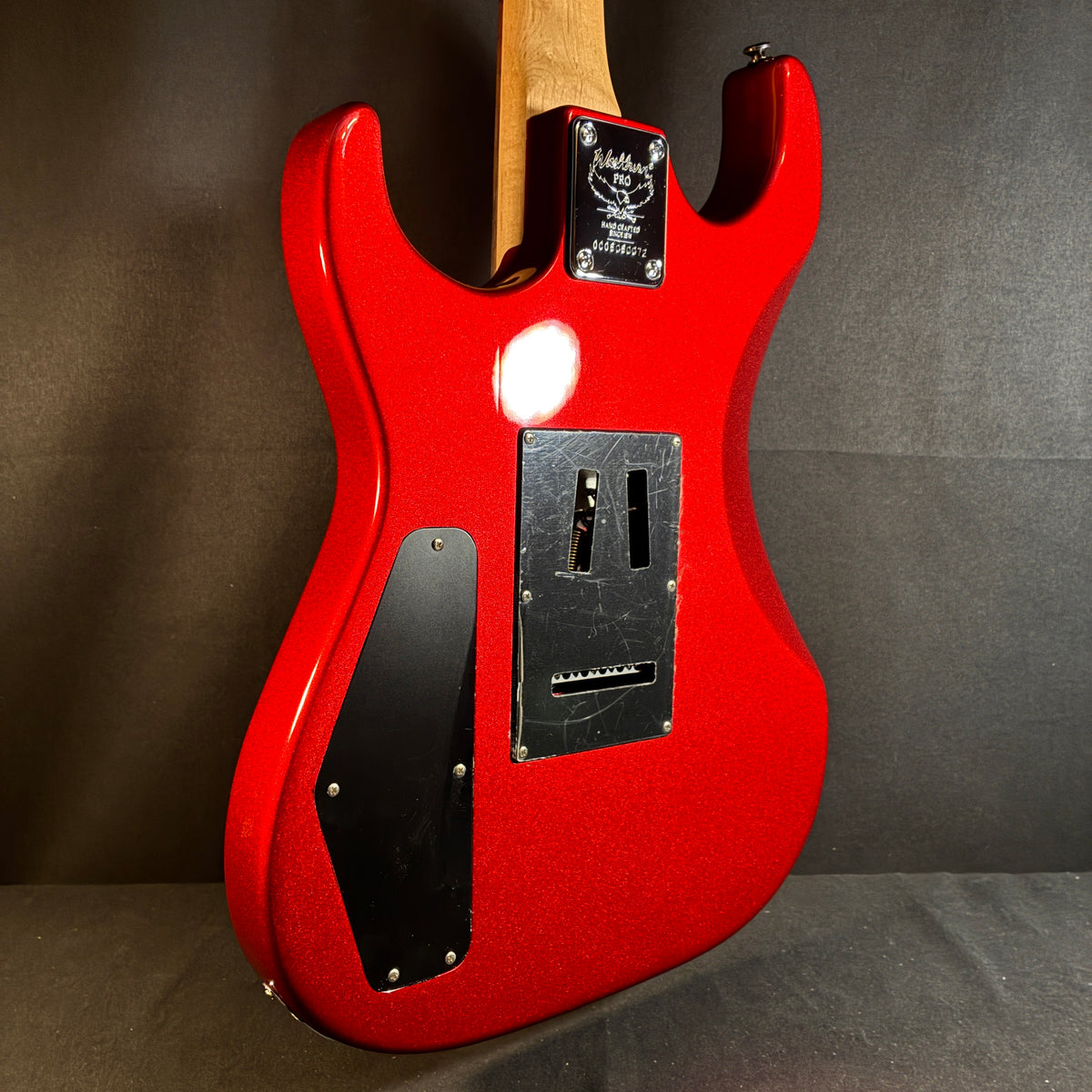 Washburn X-10 Pro / 3.59kg【下取りで最大15%OFF】【甲府店】