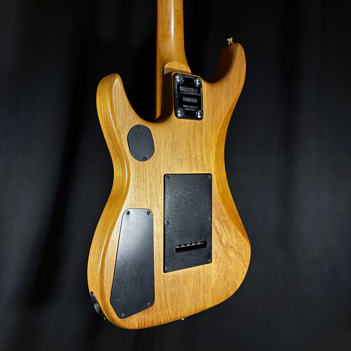 Washburn N1 / 2.95kg【下取りで最大15%OFF】【甲府店】
