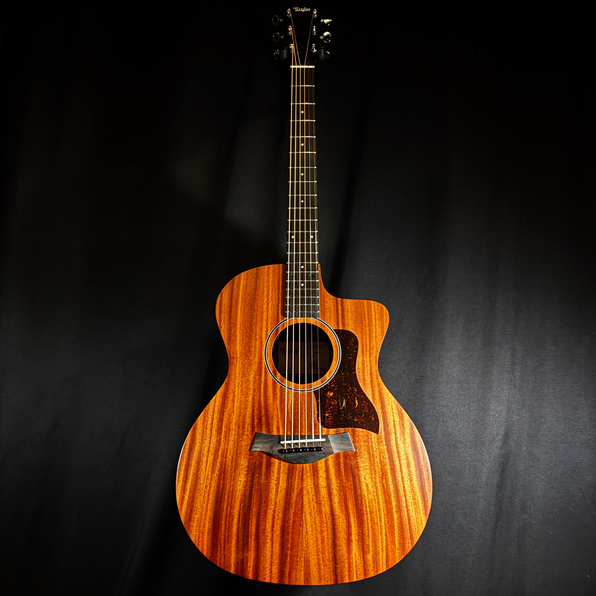 Taylor 24ce / 2.13kg【下取りで最大15%OFF】【甲府店】