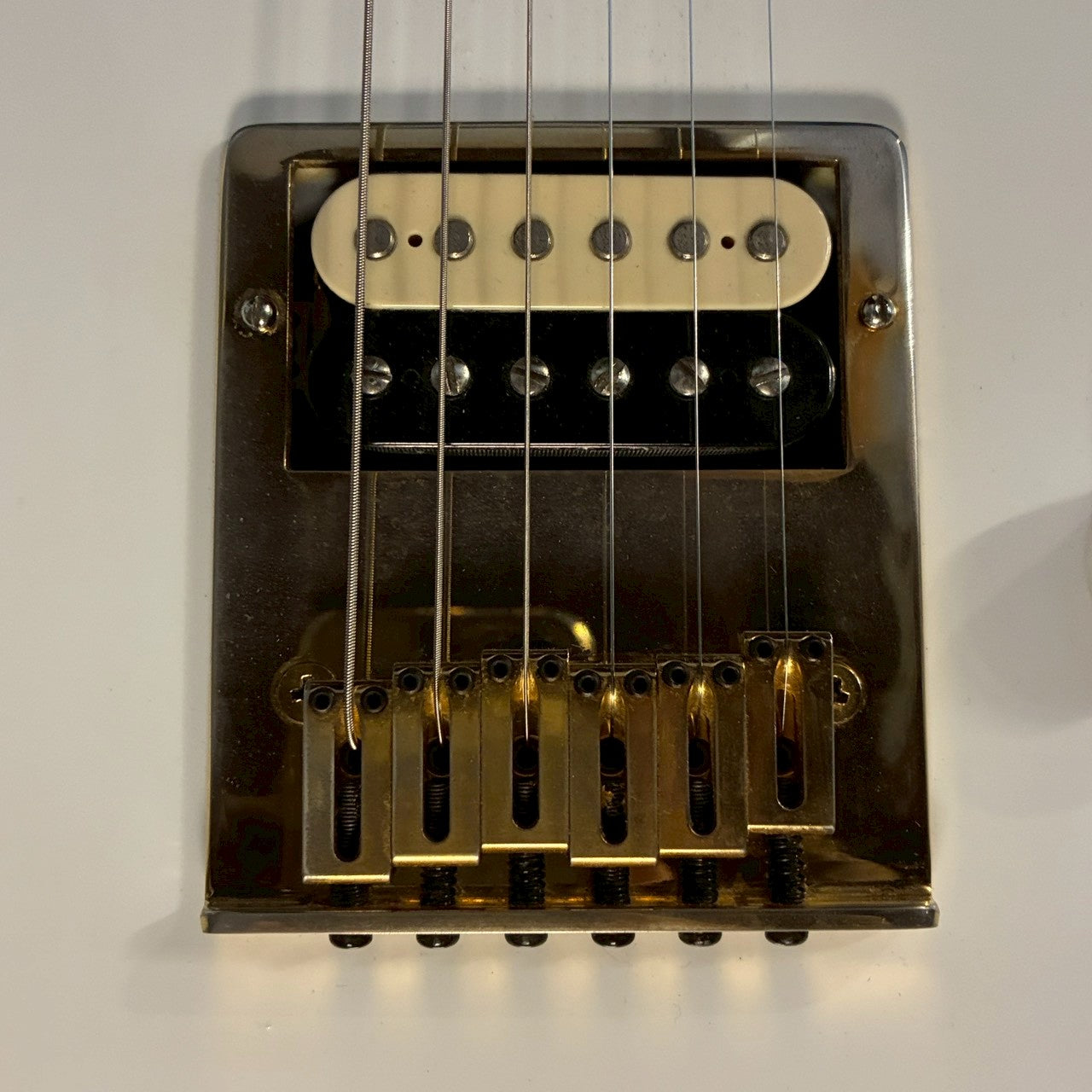 Peavey Crapper Classic Made in USA  TLタイプ 【3.64kg】