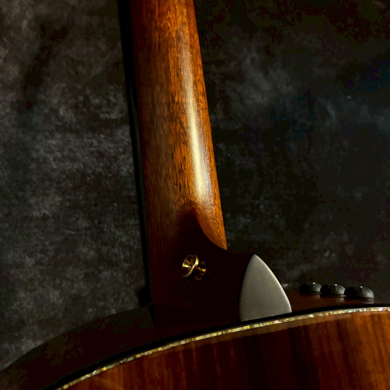 Taylor Limited PS18e Brazilian【2.29kg】