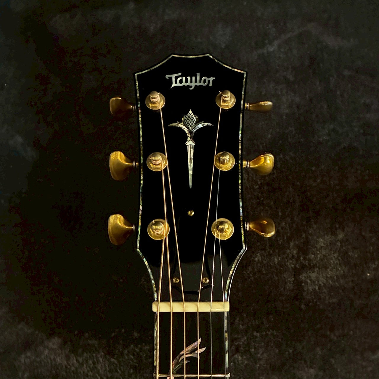 Taylor Limited PS18e Brazilian【2.29kg】