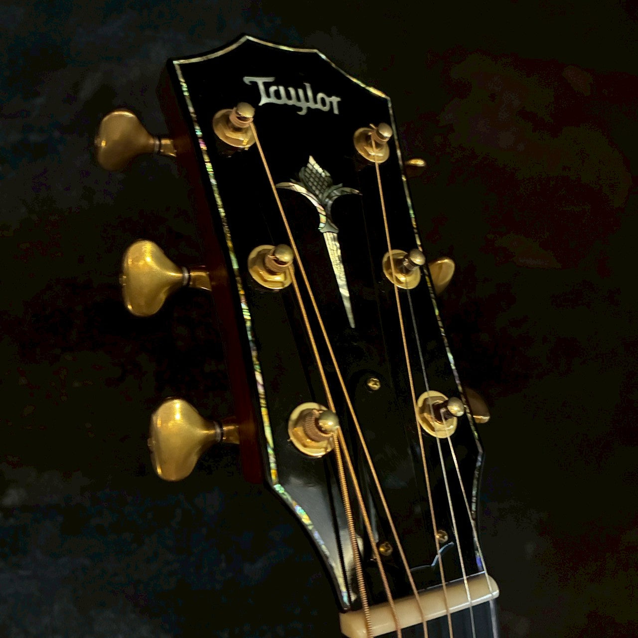 Taylor Limited PS18e Brazilian【2.29kg】