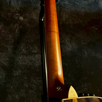 Taylor Cocobolo GA-LTD【2.41kg】