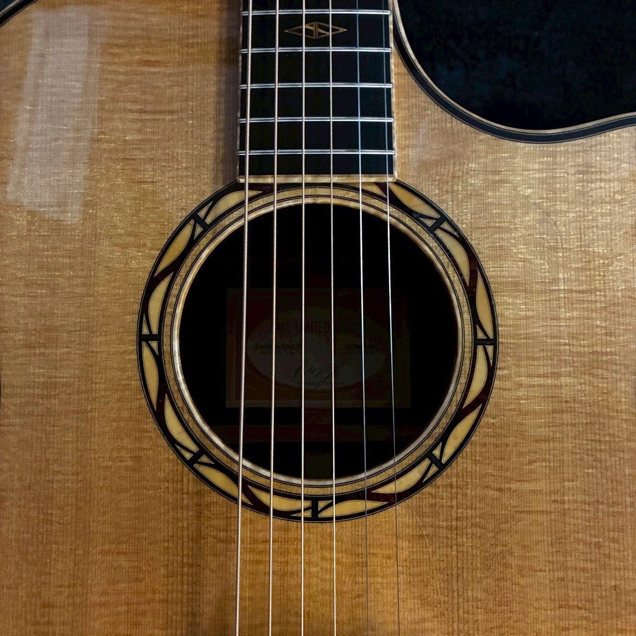 Taylor Cocobolo GA-LTD【2.41kg】