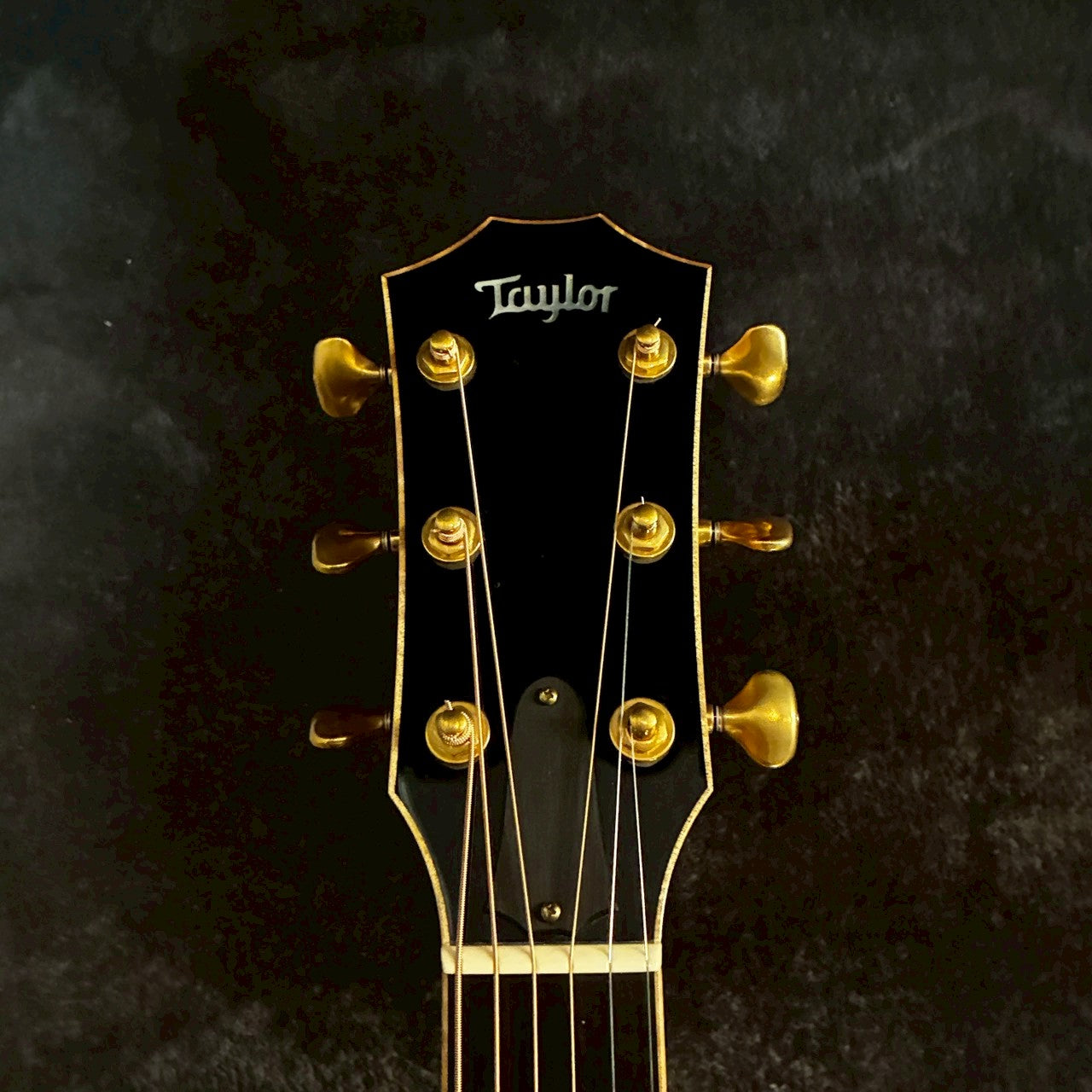 Taylor Cocobolo GA-LTD【2.41kg】