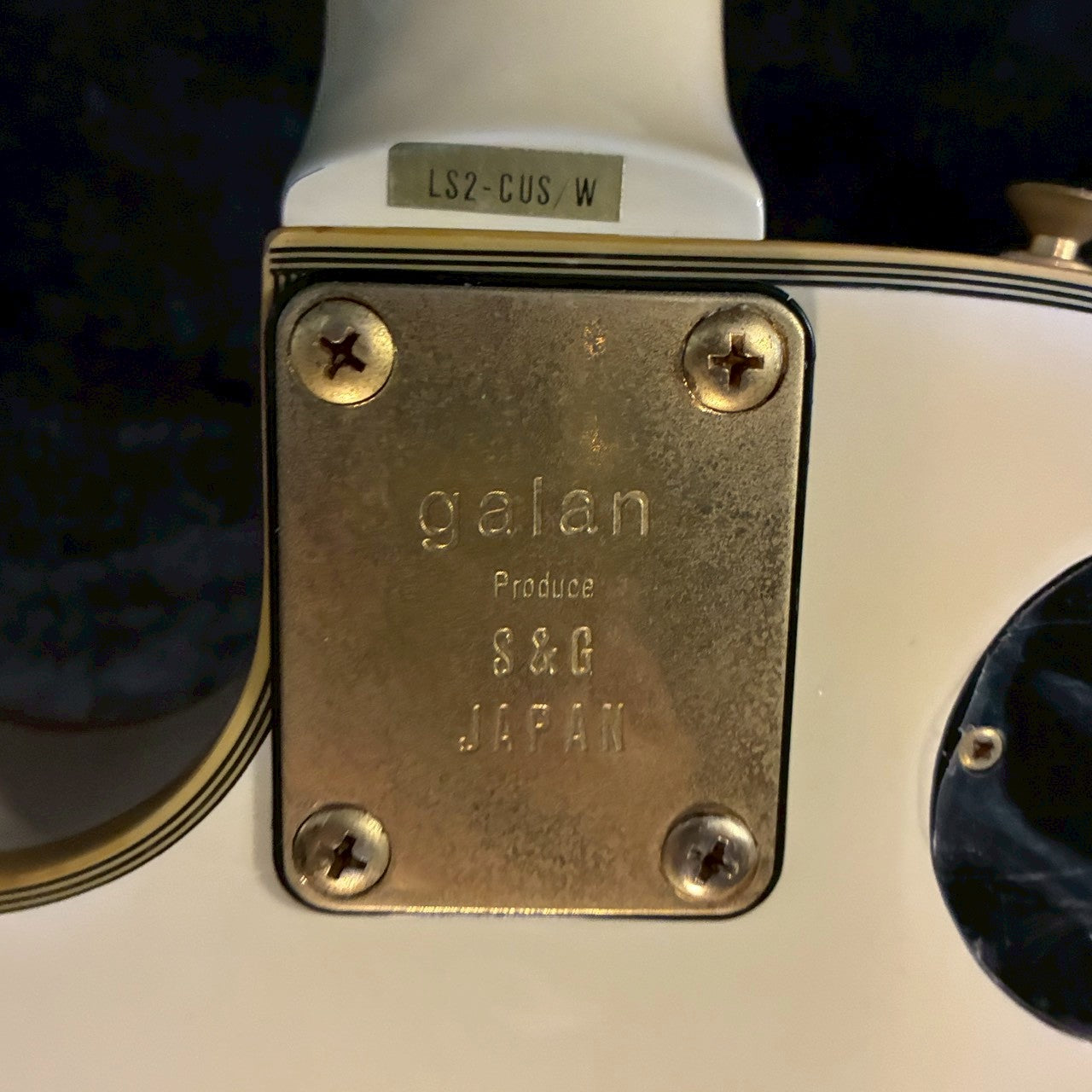 S&G JAPAN S.G.Galan LS2-CUS/W【4.14kg】