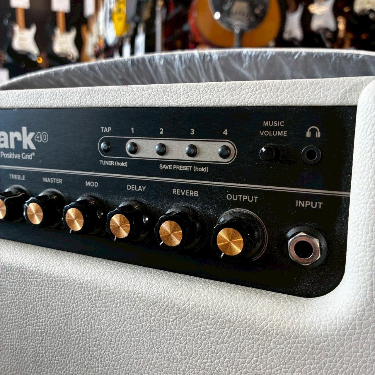 Positive Grid Spark40 【USED】