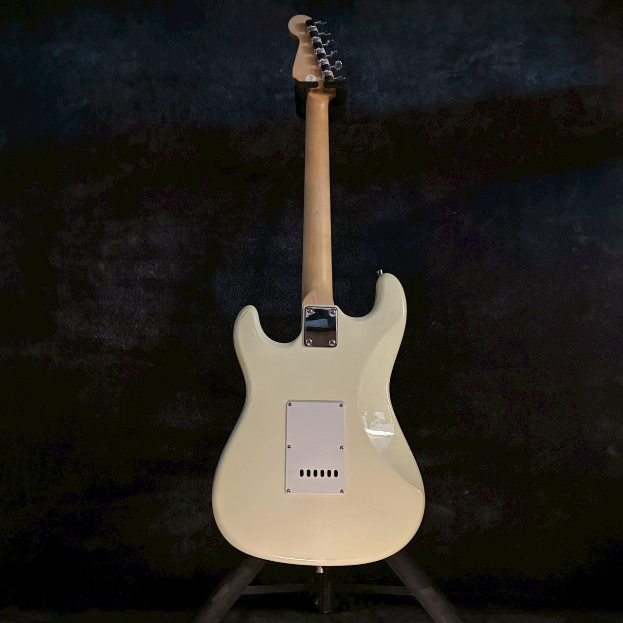 Playtech ST type ivory【3.67kg】