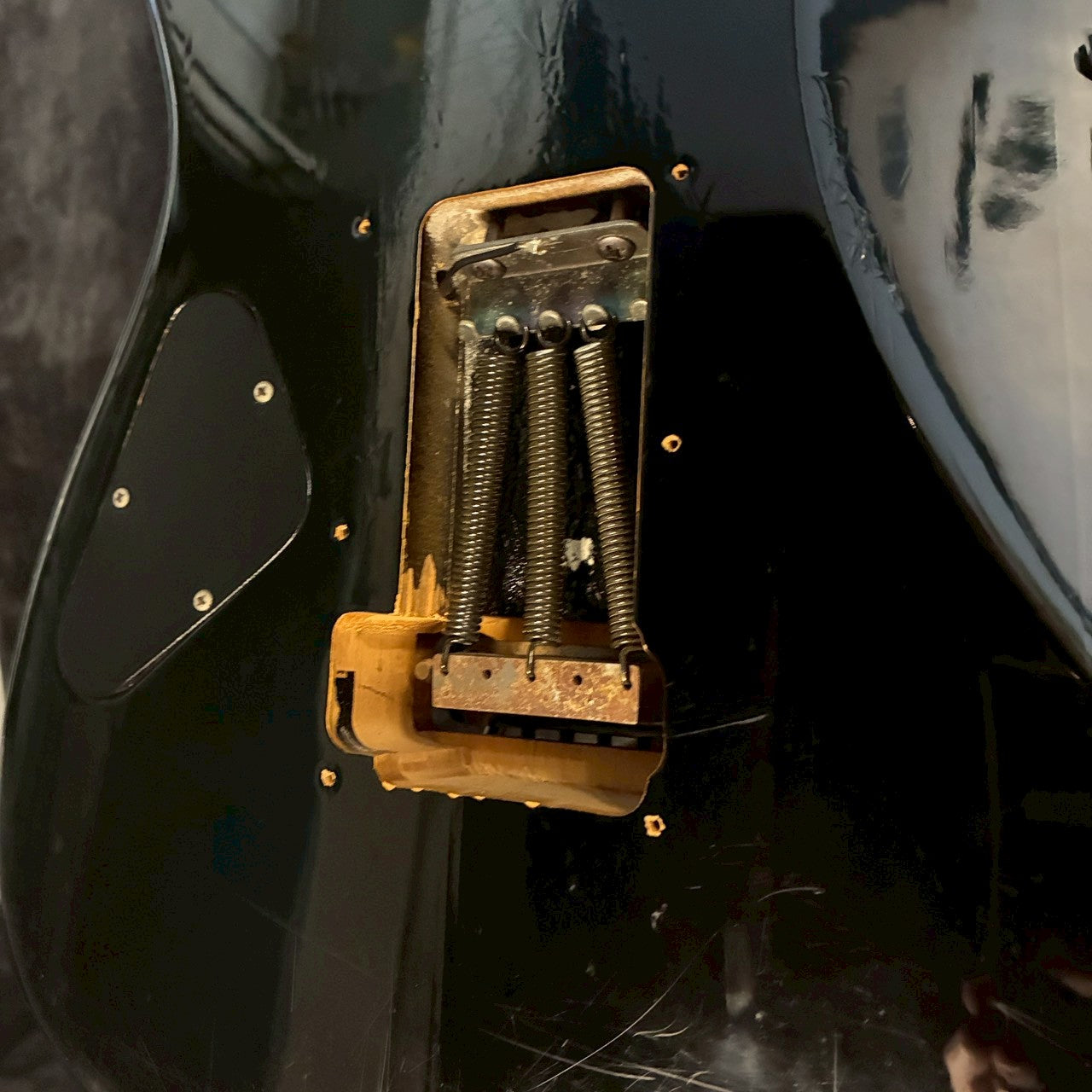 Fernandes THE FUNCTION Black mod  【3.77kg】