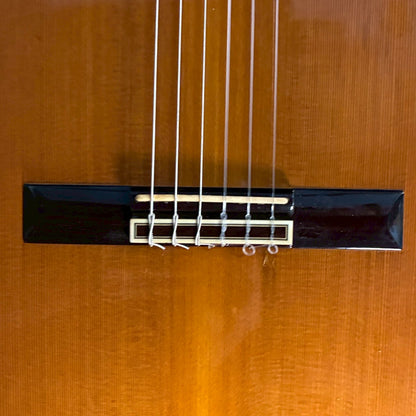 Takamine PT-307 80年代日本製 エレガット【1.85kg】