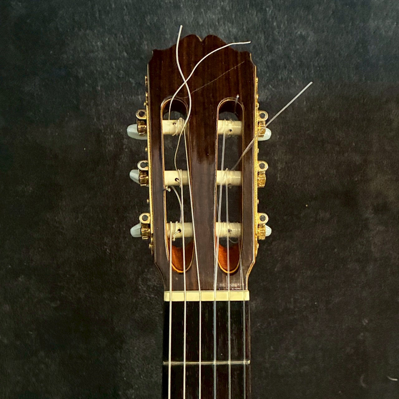 Takamine PT-307 80年代日本製 エレガット【1.85kg】