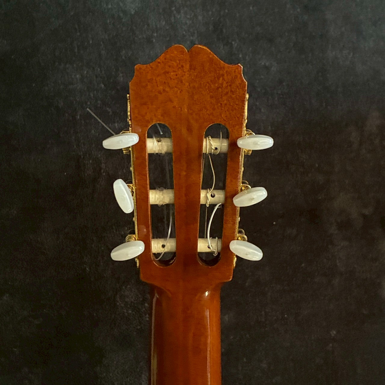 Takamine PT-307 80年代日本製 エレガット【1.85kg】
