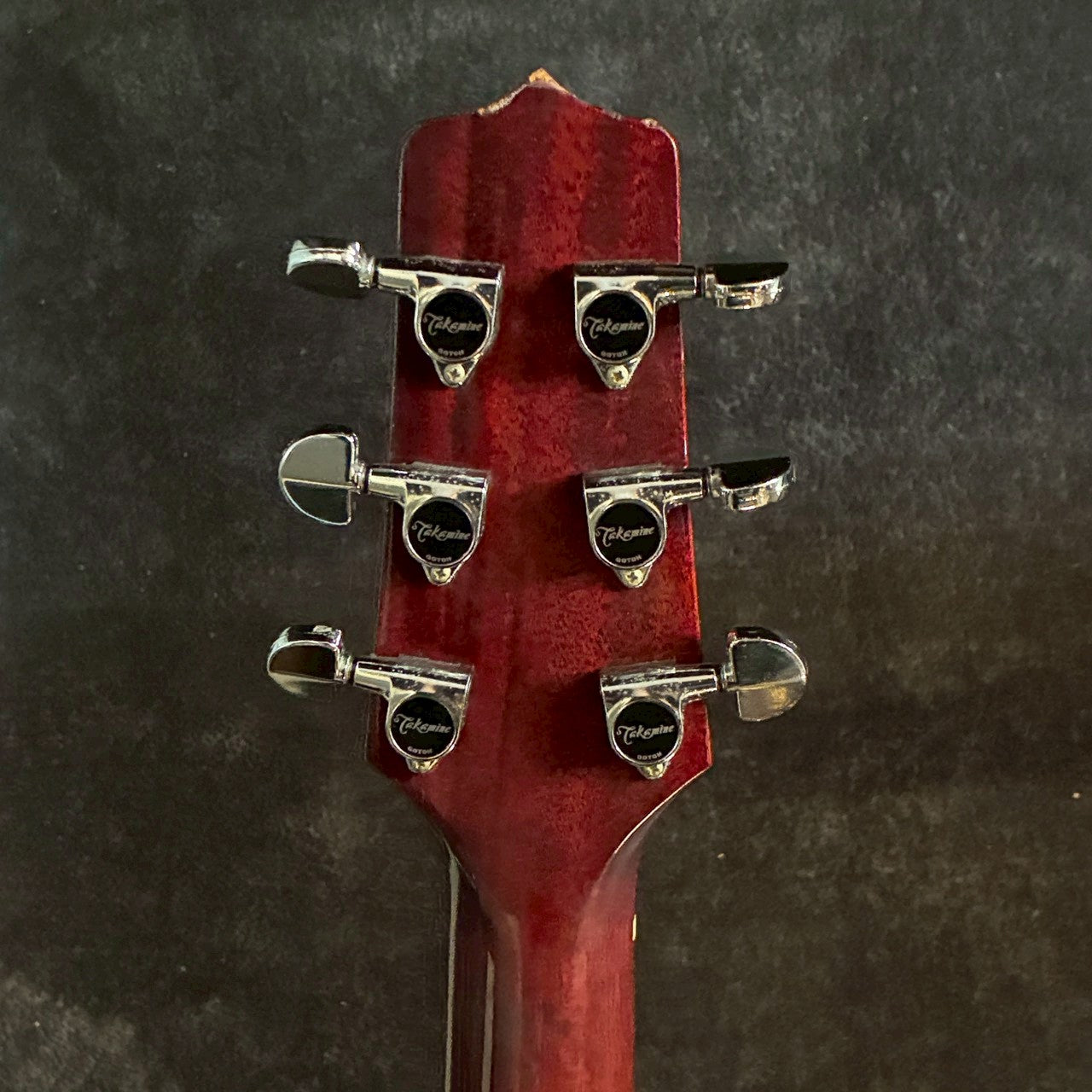 Takamine PTU508 WR 【2.22㎏】