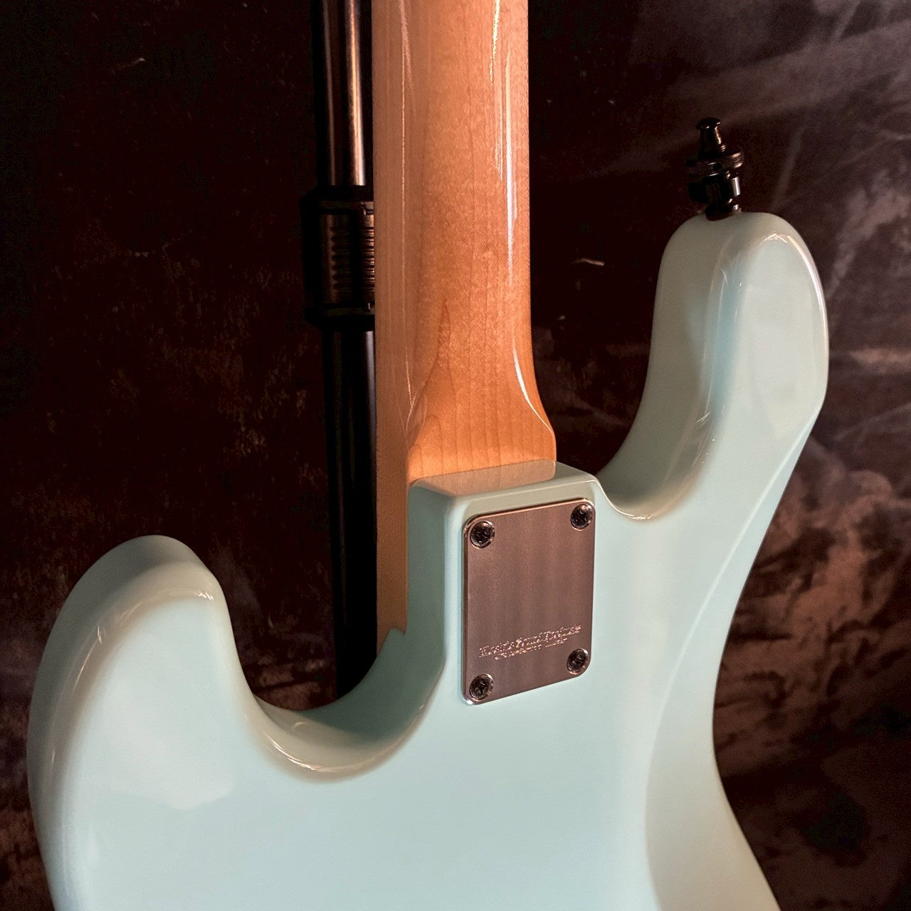 ESP GEN model AQ Blue 【4.45kg】