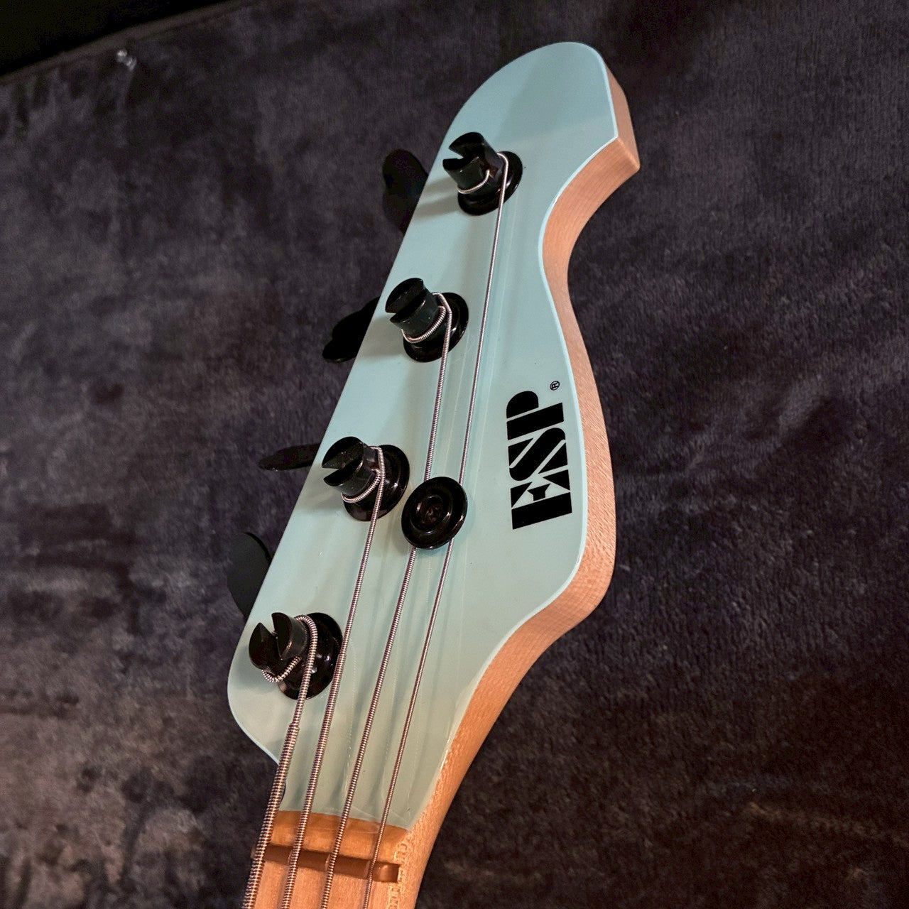 ESP GEN model AQ Blue 【4.45kg】