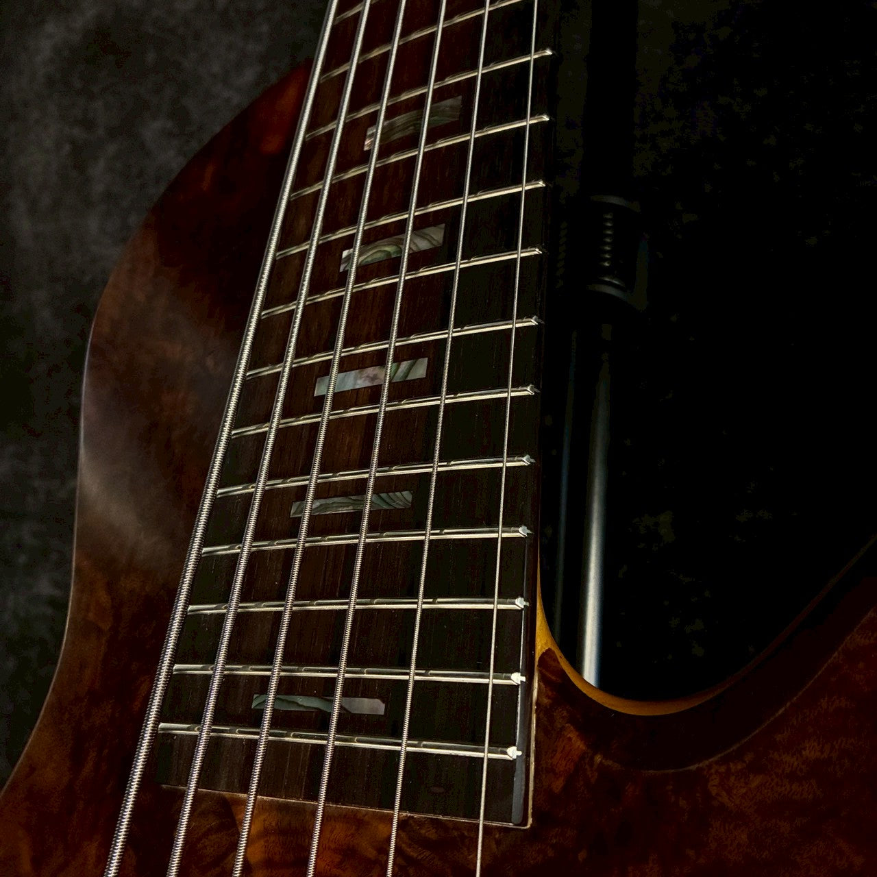 Fodera Emperor II Elite 6strings 【5.35㎏】