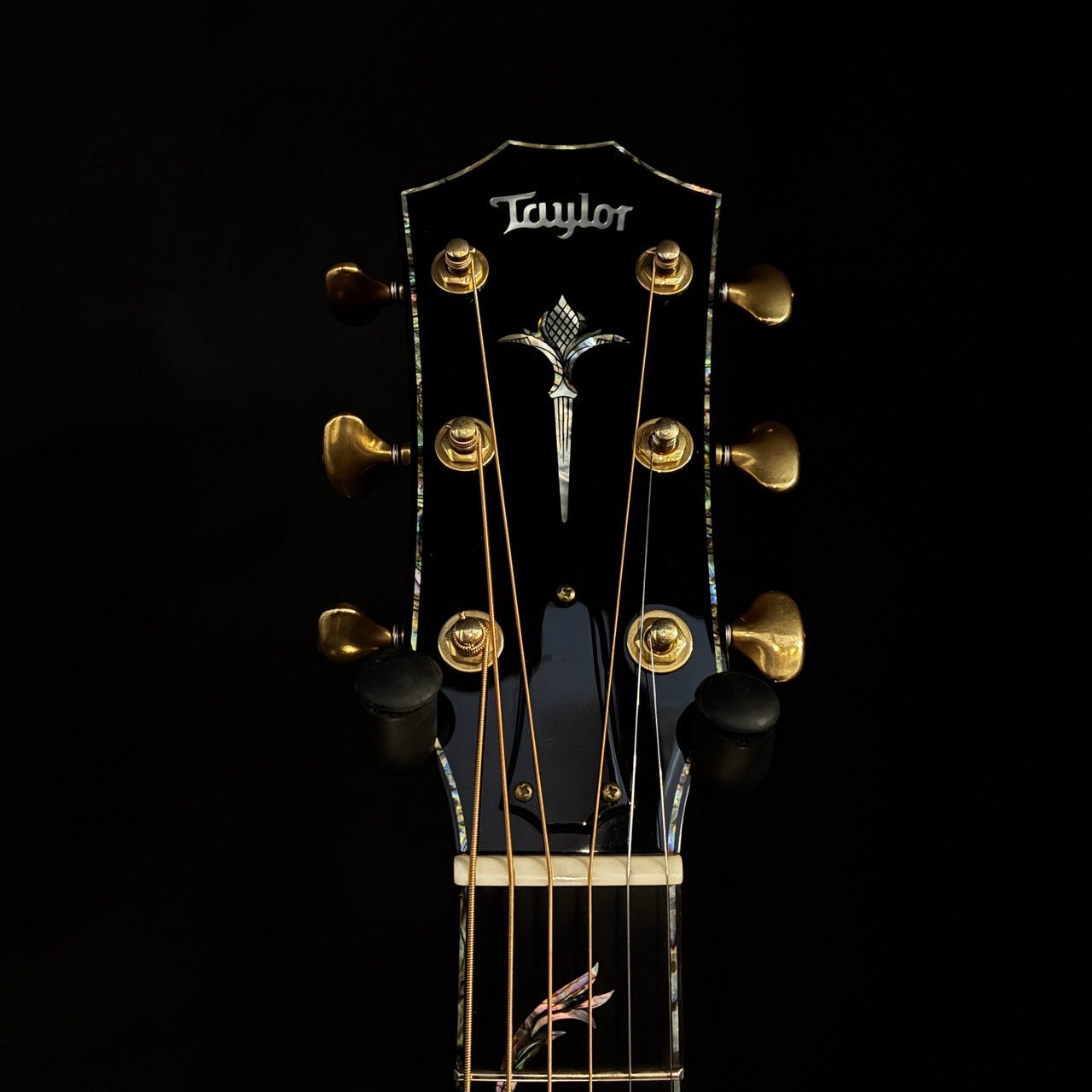 Taylor Limited PS18e Brazilian【2.29kg】