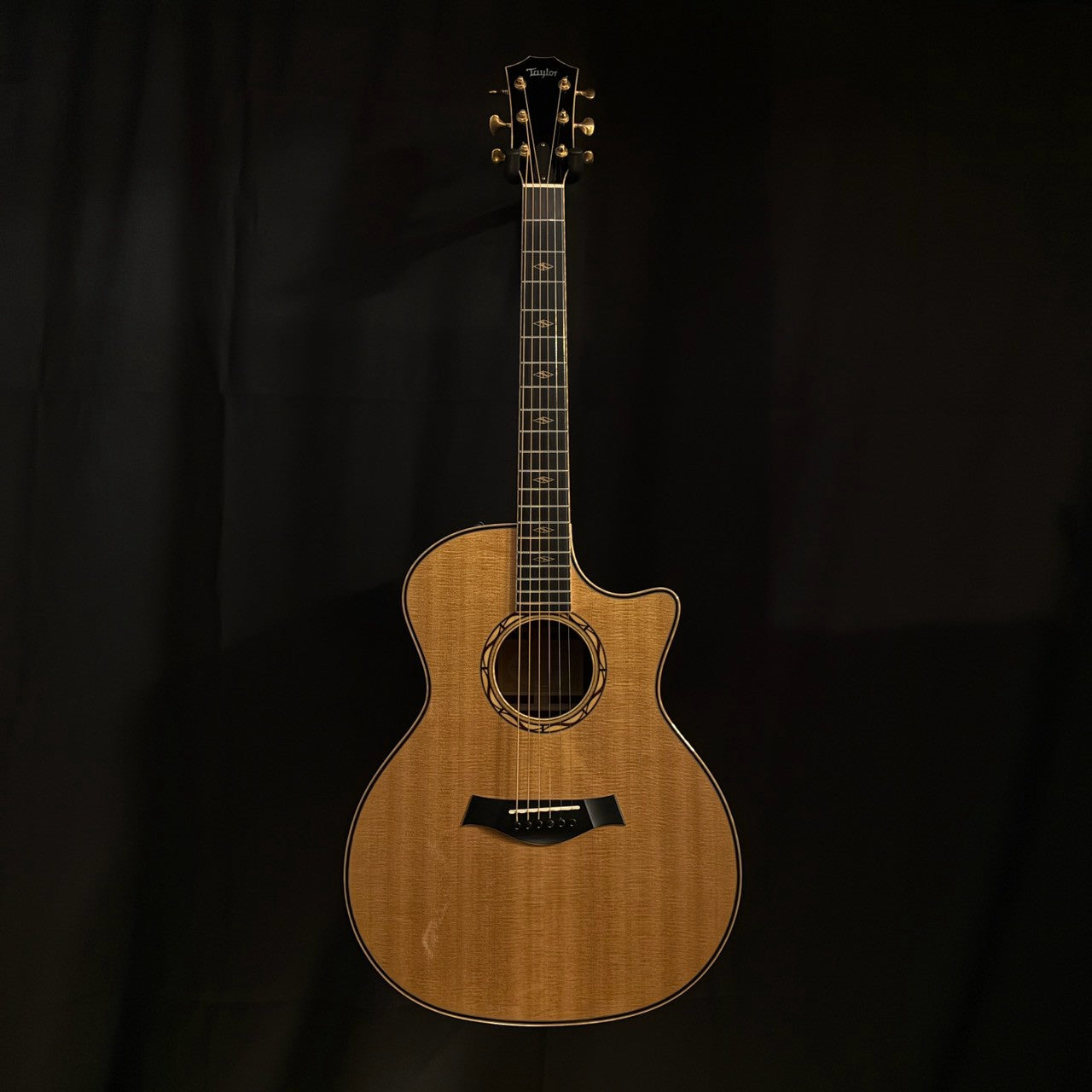 Taylor Cocobolo GA-LTD【2.41kg】