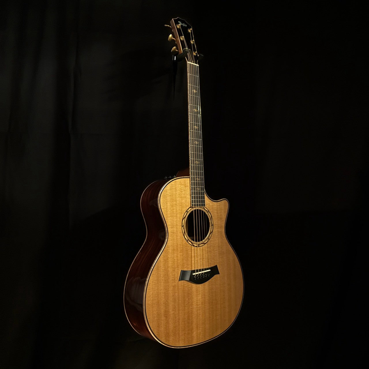 Taylor Cocobolo GA-LTD【2.41kg】