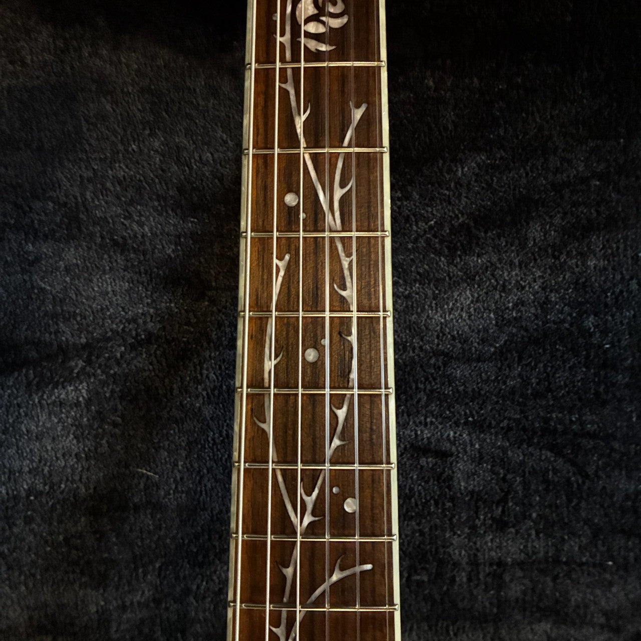 Ibanez  TOD10N-TKF Tim Henson Signature Model Black 【2.03kg】