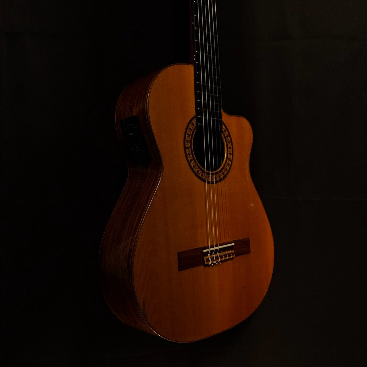 Antonio Sanchez EG-8 2006 / 1.88kg【下取りで最大15%OFF】【甲府店】