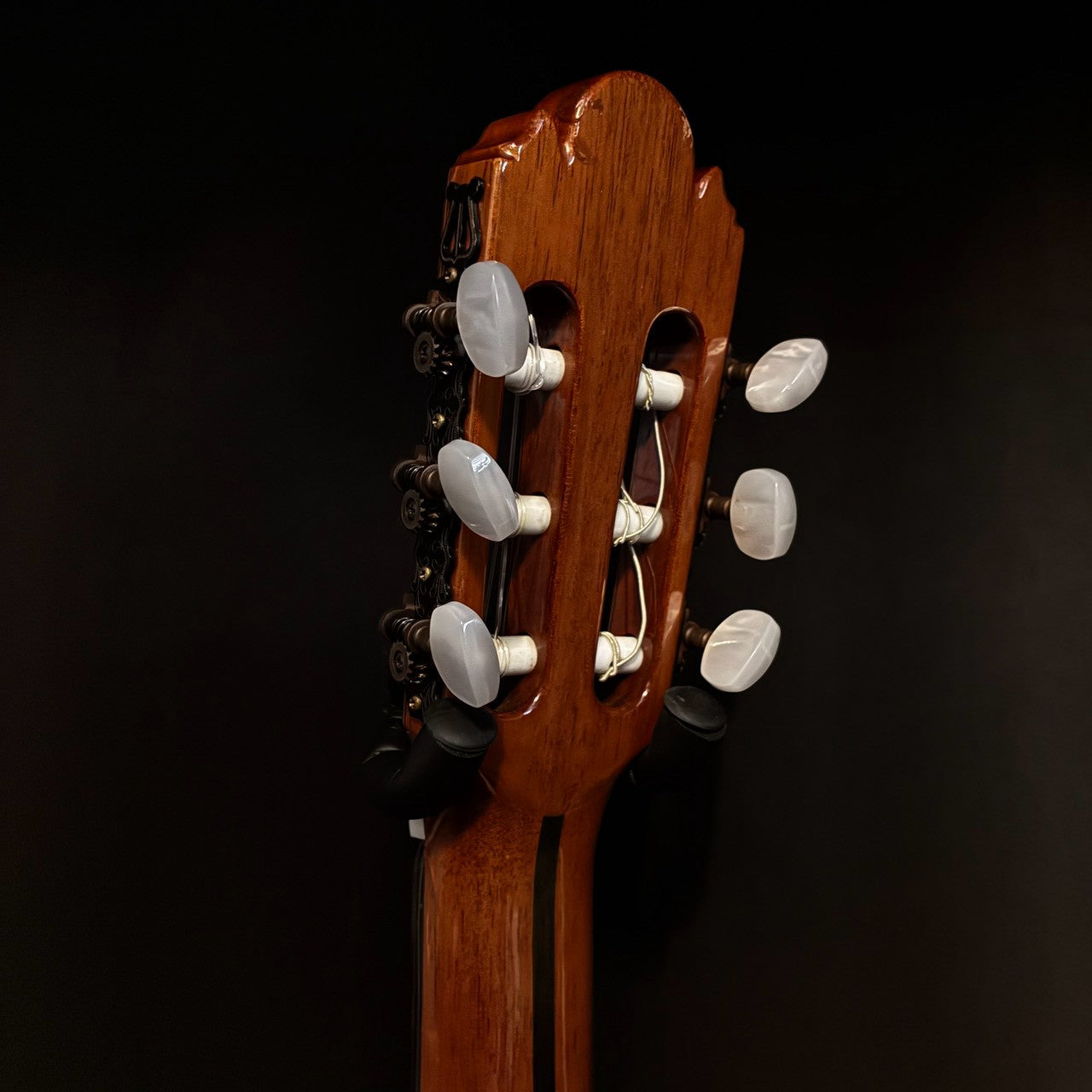 Antonio Sanchez EG-8 2006 / 1.88kg【下取りで最大15%OFF】【甲府店】