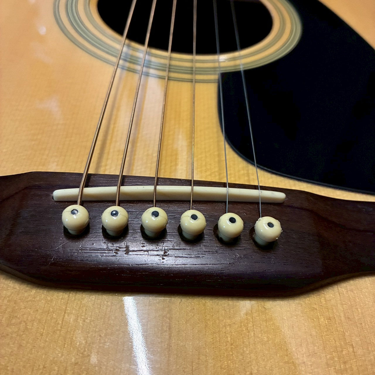 Morris MD502 【USED】【2.08㎏】