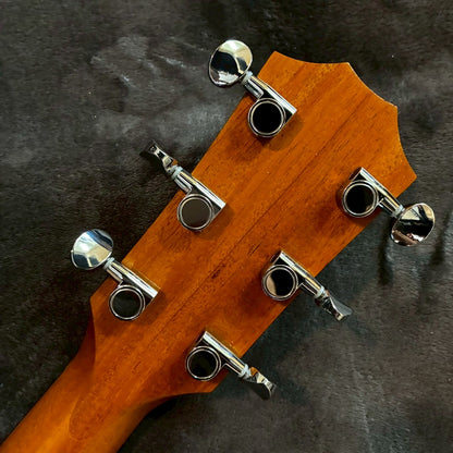 Taylor BBT Big Boy 【USED】【1.7kg】