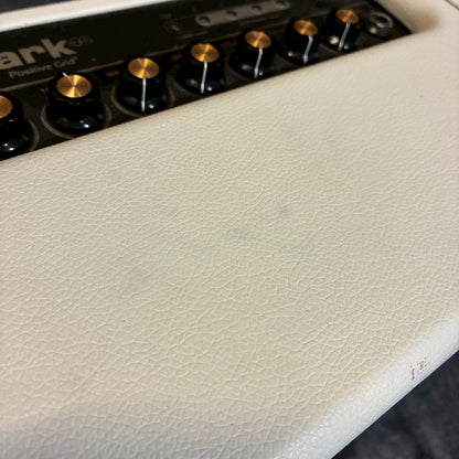 Positive Grid Spark40 【USED】