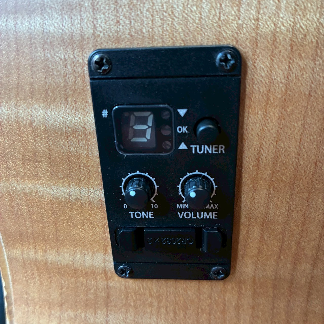 Taylor EG-12e　LTD 【USED】【1.9㎏】