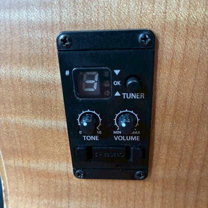 Taylor EG-12e　LTD 【USED】【1.9㎏】