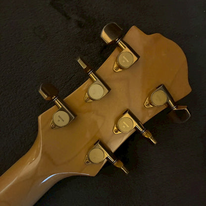 FERNANDES MG-80X Black 【USED】【3.0kg】