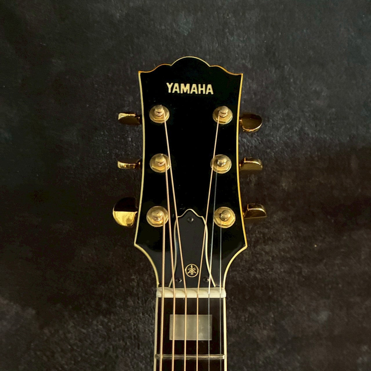 YAMAHA CJ-10B Brown【2.45kg】